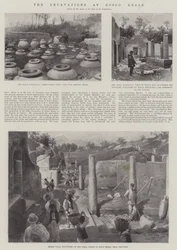 The Excavations at Bosco Reale